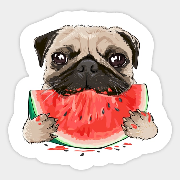 funny funny pug dog eating watermelon Sticker by amramna